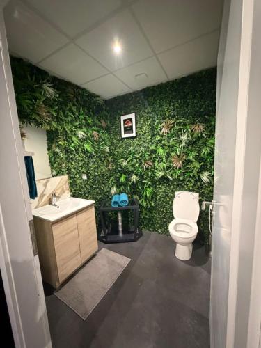 a bathroom with a green wall with a toilet and sink at Studio La Bobine in Coincy