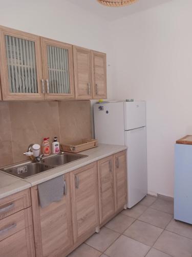 a kitchen with a sink and a white refrigerator at Andros Summer House II in Andros