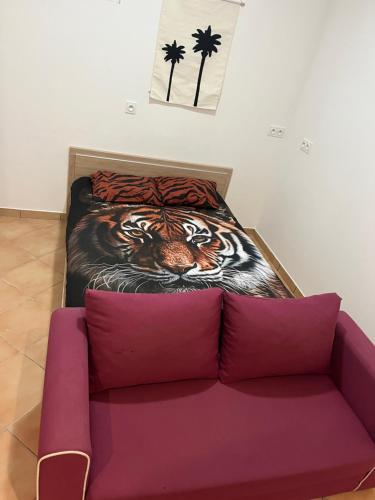 a bed in a room with a purple couch at Studio Centre Ville in Tarbes