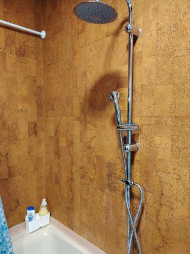 a shower in a bathroom with a shower head at Villa Bazzera in Mestre
