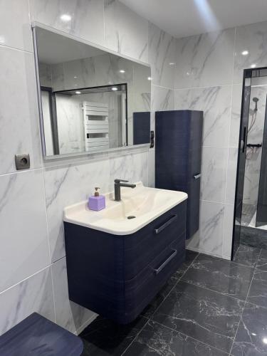 a bathroom with a sink and a mirror at les gîtes de la Colombière 10 personnes in Longvic