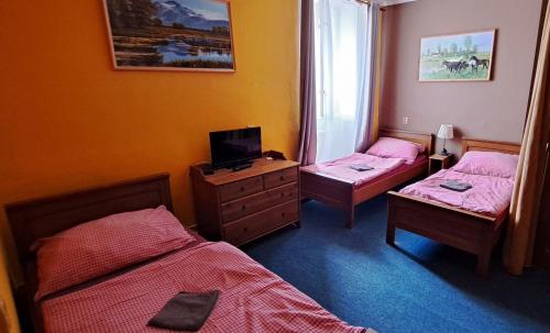 ein Schlafzimmer mit zwei Betten und einem Fernseher in der Unterkunft Hotel Mrázek in Pardubice