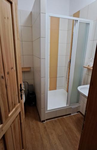 eine Dusche mit Glastür im Badezimmer in der Unterkunft Hotel Mrázek in Pardubice