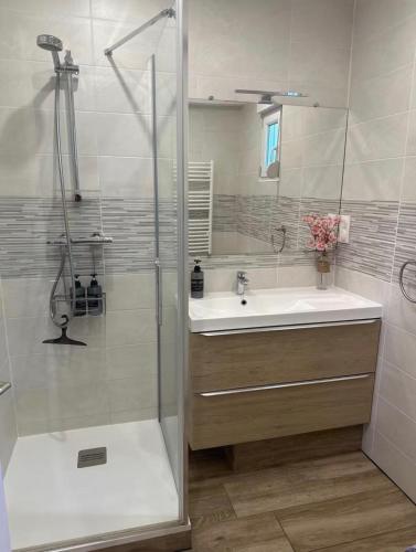 a bathroom with a shower and a sink and a shower at Arboréa, charmant loft in Mirebeau-sur-Bèze
