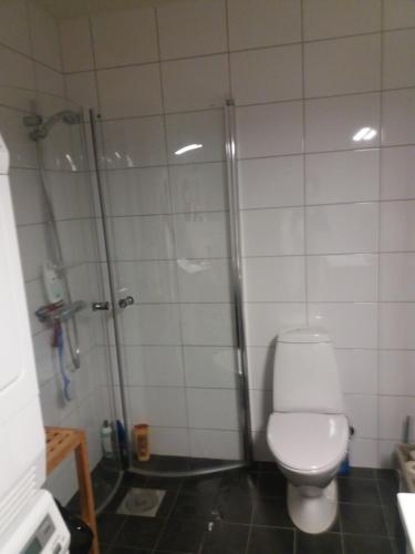 ein Badezimmer mit Dusche und Toilette in der Unterkunft Synnseter in Nord Torpa