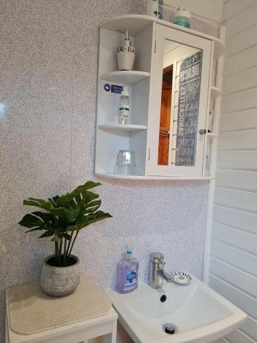 a bathroom sink with a cabinet and a potted plant at Weston's Wood Cabins in Blakeney