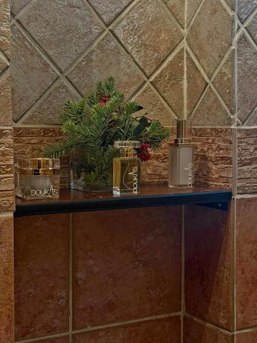a shelf with plants on a brick wall at ByDoukas Mountain Resort in Palaios Agios Athanasios