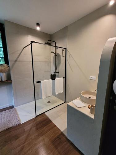 a bathroom with a glass shower with a toilet at La Filature 1813 in Wasselonne