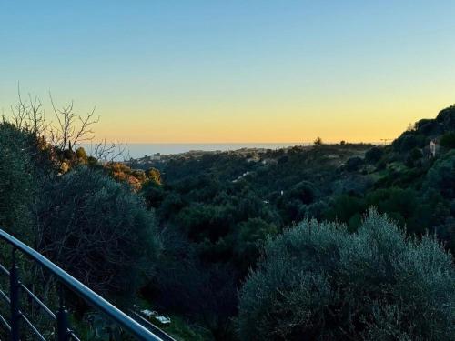 a view of a forest of trees and the ocean at La costière in Nice