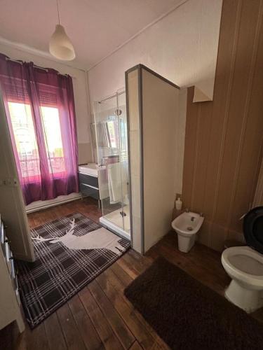 a bathroom with a shower and a toilet in it at Maison Charmante in Vervins