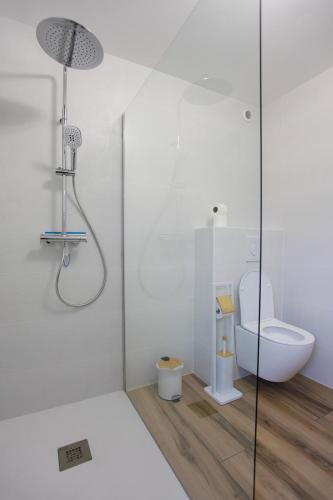a bathroom with a toilet and a glass shower at Gîte les Lilas Blancs 15mn Gérardmer in Champdray