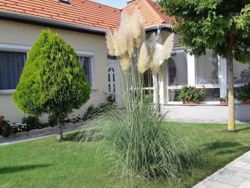 Apartment in Bük im Parterre mit Garten by Interhome