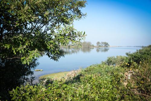 a view of a lake from a tree at The Prawn Hatchery Pty Ltd on Amatikulu in Dokodweni