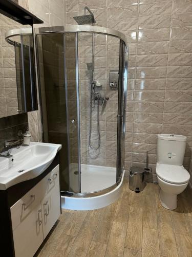 a bathroom with a shower and a toilet and a sink at Villa Vi-Ta in Zatoka