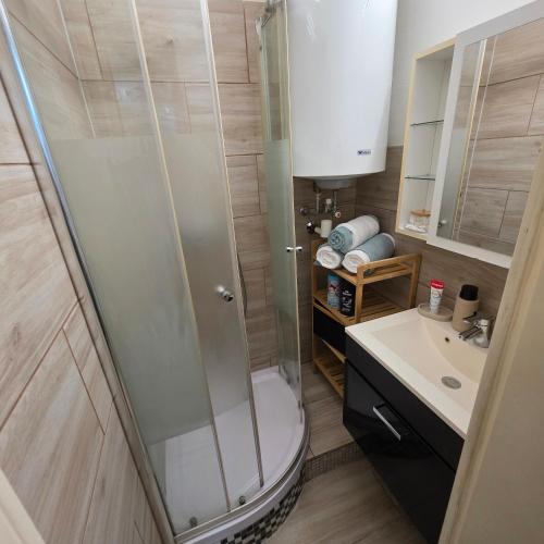 a bathroom with a shower and a sink at Apartment AlpenHerz Trieben in Trieben