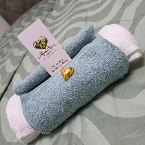 a stuffed sock animal with a sign on it at Apartment AlpenHerz Trieben in Trieben