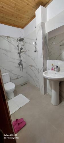 a bathroom with a shower and a toilet and a sink at Veranda Guest House in Berat