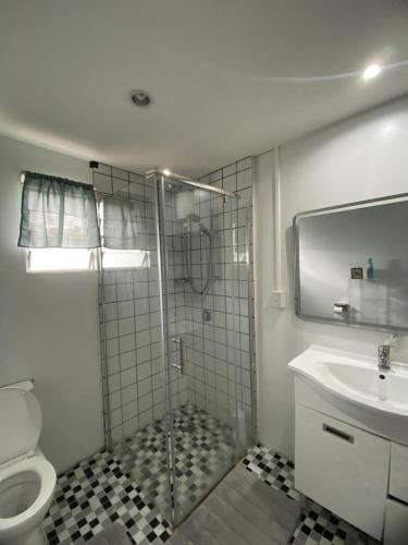 a bathroom with a shower and a toilet and a sink at Lagoon House in Veitongo