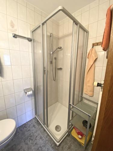 a shower with a glass door in a bathroom at Bauernhof Daurerhof Ferienwohnung in Aschau im Chiemgau