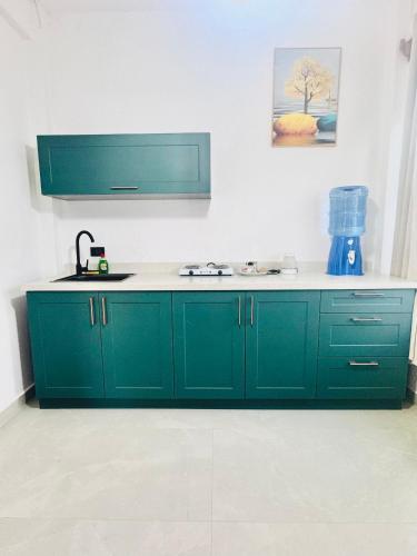 a kitchen with green cabinets and a sink at VENICE by luxury Atitlan in San Pedro La Laguna