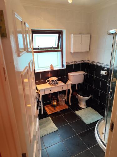 a bathroom with a sink and a toilet at An Tuar Ceatha in Castlebar