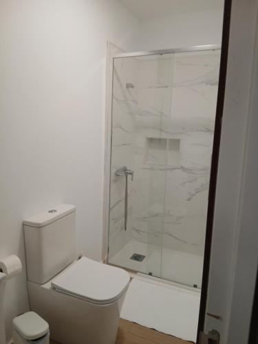 a white bathroom with a toilet and a shower at Loft Mamposo in Tacoronte