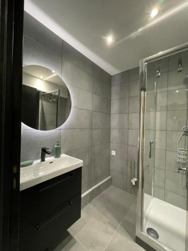 a bathroom with a sink and a shower and a mirror at MoonGreen - EuroAirport - Basel - HighQuality in Saint-Louis