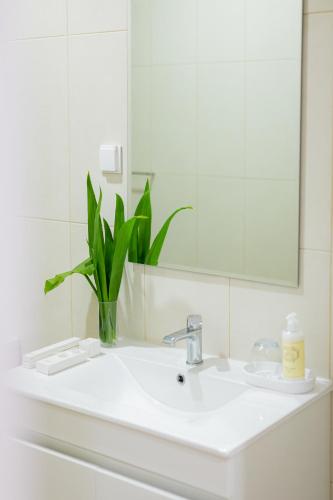 Atlantic Bay - Forest Apartment