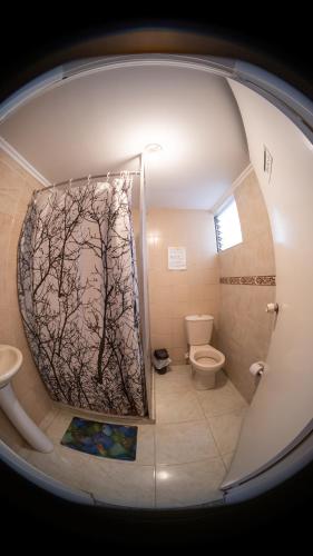 a bathroom with a shower and a toilet in it at Hostal Paz y Vida in Medellín