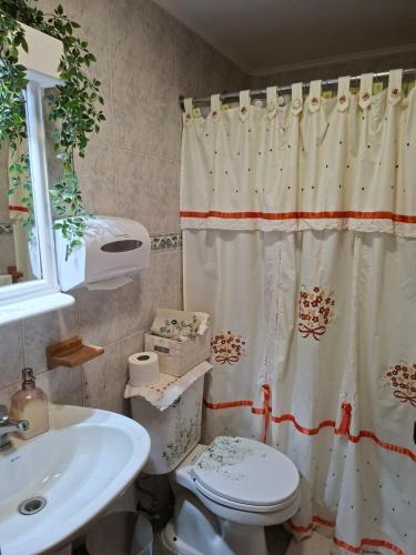 a bathroom with a shower curtain and a toilet at Vista volcanes house in Puerto Varas