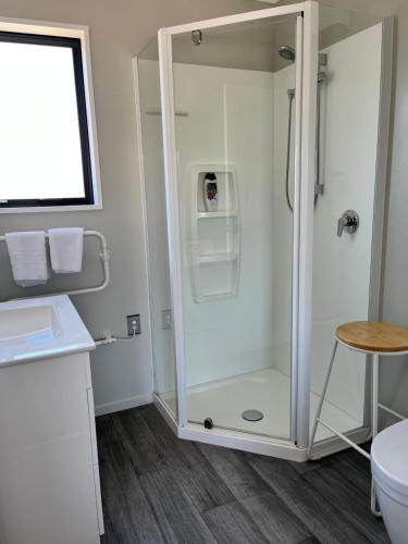 a bathroom with a shower with a sink and a toilet at Mountain views on Mackenzie in Twizel