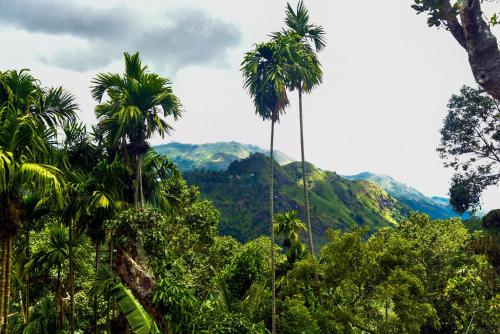 Dawn View Home Stay