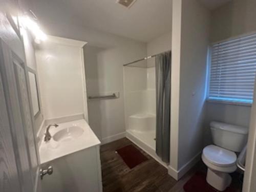 a bathroom with a toilet and a sink and a shower at Chestnut Hostel in Wilmington