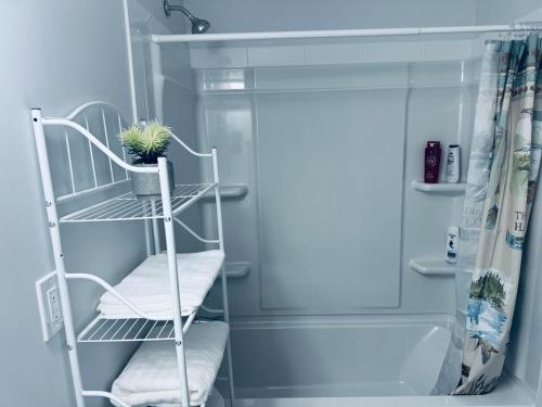 a bathroom with a towel rack with a plant on it at Maple Nest in Regina