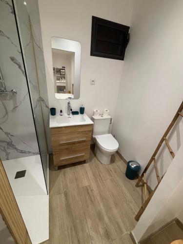a bathroom with a toilet and a sink and a shower at Bungalow BAO in Fort-de-France