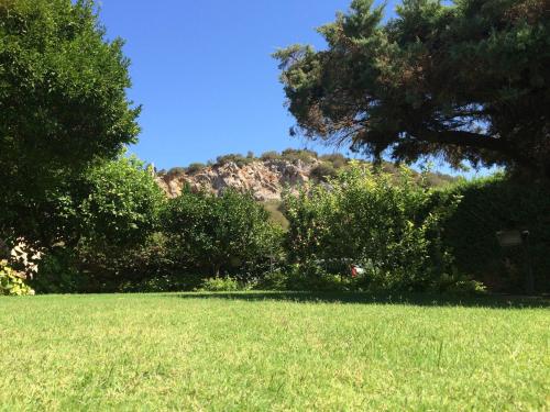 a field of grass with a tree and a mountain at A Casa Di Angela B&B in Carbonia