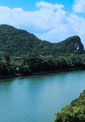 a view of a river with trees in the background at GUILIN LI RIVER CIAO Hotel in Guilin
