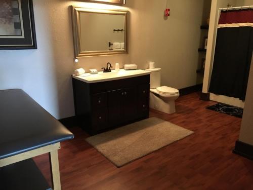 a bathroom with a sink and a toilet and a mirror at Morguen Toole in Meyersdale