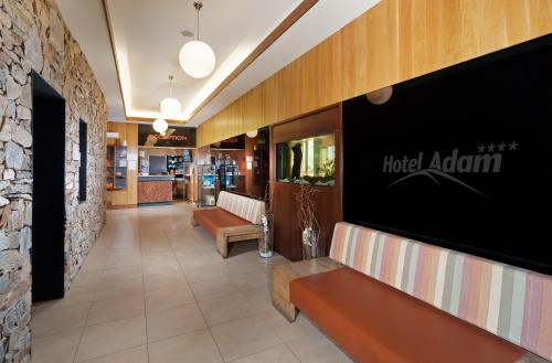 TV a/nebo společenská místnost v ubytování Hotel Adam