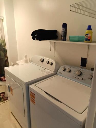 a kitchen with a dishwasher and a black cat on a shelf at Cosy single-level home with laundry and parking in Huntington