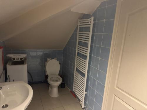 T2 Apartment في دوسين شاربْيوه: حمام صغير مع مرحاض ومغسلة