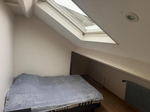 T2 Apartment في دوسين شاربْيوه: غرفة نوم مع سرير وفتحة سقف