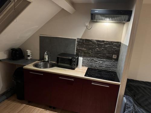 T2 Apartment في دوسين شاربْيوه: مطبخ صغير مزود بحوض وميكروويف