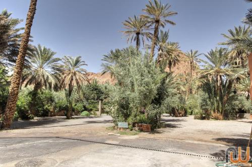 Fotografie z fotogalerie ubytování RIAD Camping ATLAS v destinaci Tinerhir