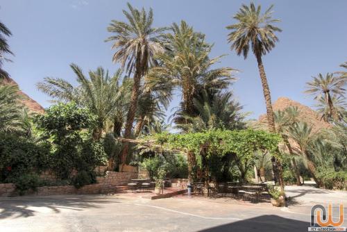 Zahrada ubytování RIAD Camping ATLAS