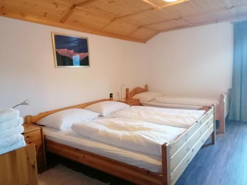 a bedroom with two beds in a room at Ferienwohnung Entstrasser in Virgen