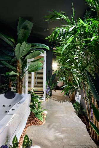 Love Room Évasion tropicale à deux pas du centre