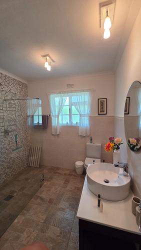 a bathroom with a sink and a toilet at TheBlueDoor in Greyton