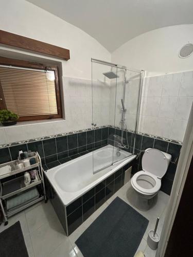 a bathroom with a tub and a toilet and a sink at Apartmán u Poustevníka in Kájov