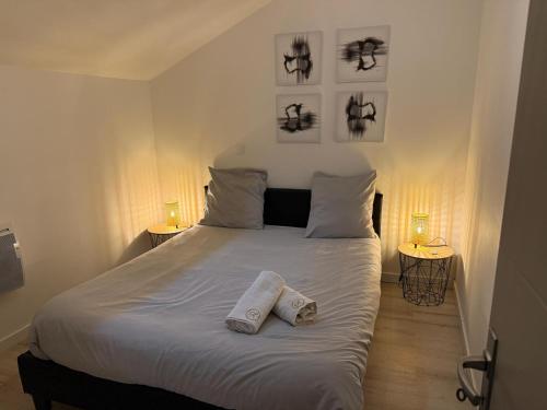 a bedroom with a bed with two pillows on it at LE DALLAS - 1 chambre, 1 canapé-lit, 1er étage, parking, 10min Canal du Midi in Castelsarrasin